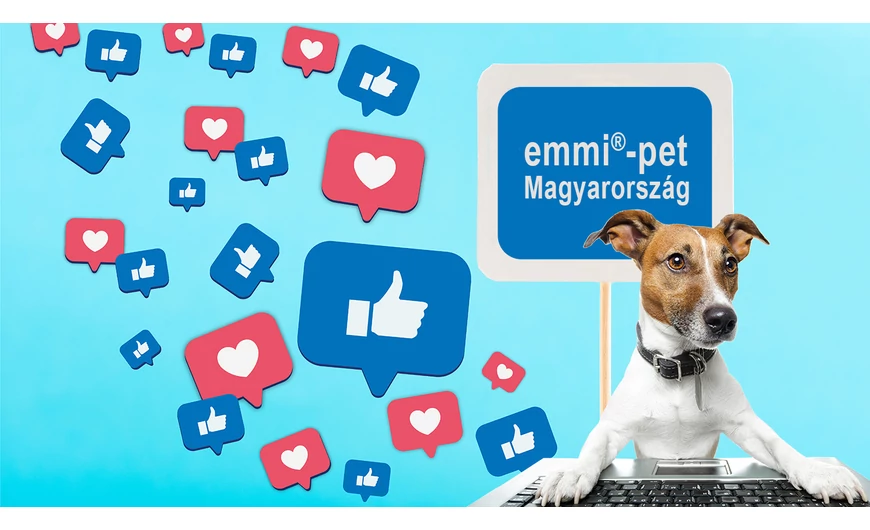 Facebook: emmi®-pet Magyarország